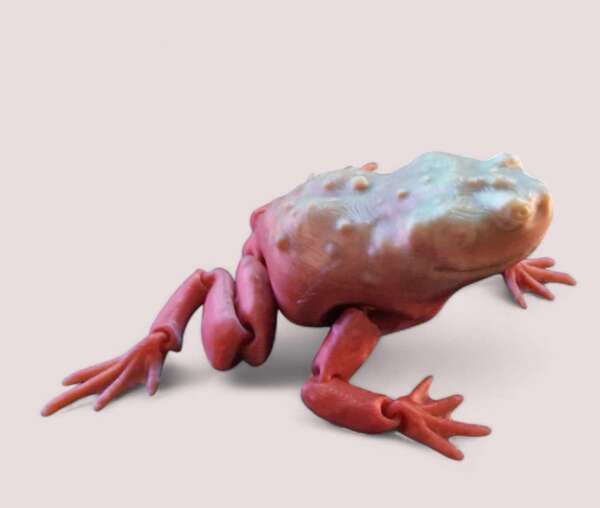 Flexible Frog